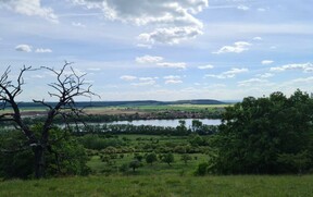 vyhled_obora_Kinsky_kempovani_priroda_glamping