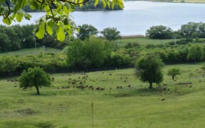 vyhled_obora_zehun_rybnik_priroda_kempovani