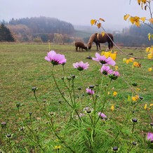 Glamping Čihadlo (7)