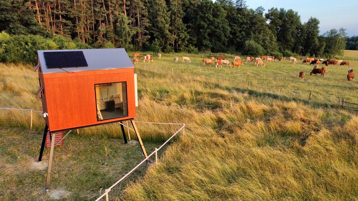 Moderní glamping ve výjimečném spojení s přírodou