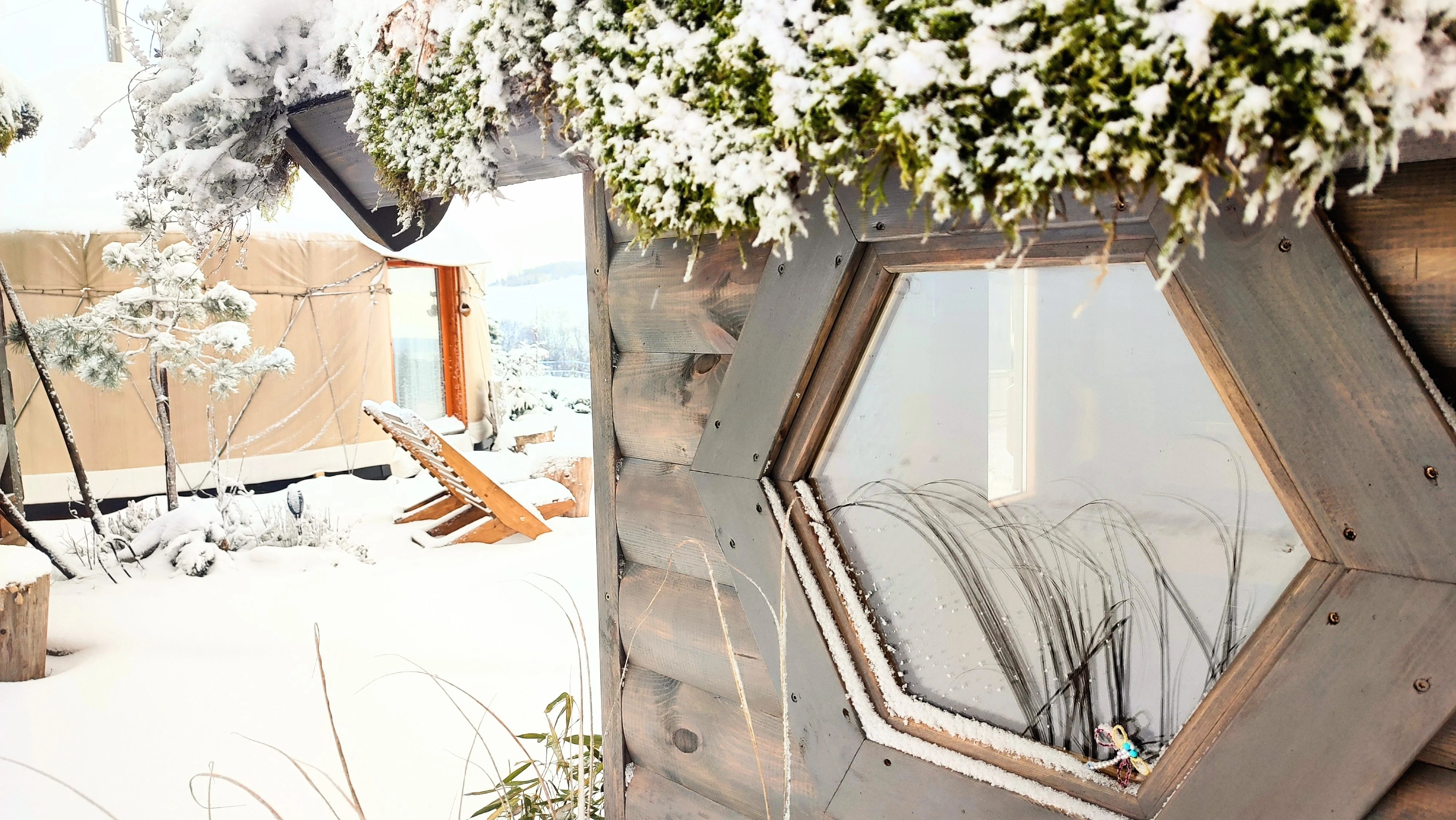 IMG_20240116_111110_2